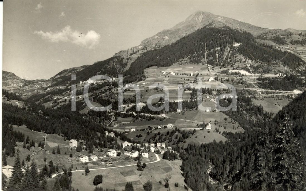 Cartolina originale da collezione 1950 ca LIVINALLONGO DEL COL DI LANA BL Veduta DIGONERA e SALEI Cartolina NV 1