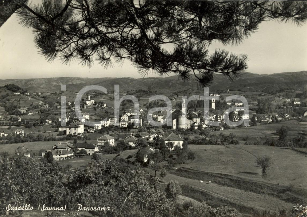 Cartolina originale da collezione 1956 SASSELLO SV Panorama del paese e delle campagne Cartolina FG VG 1
