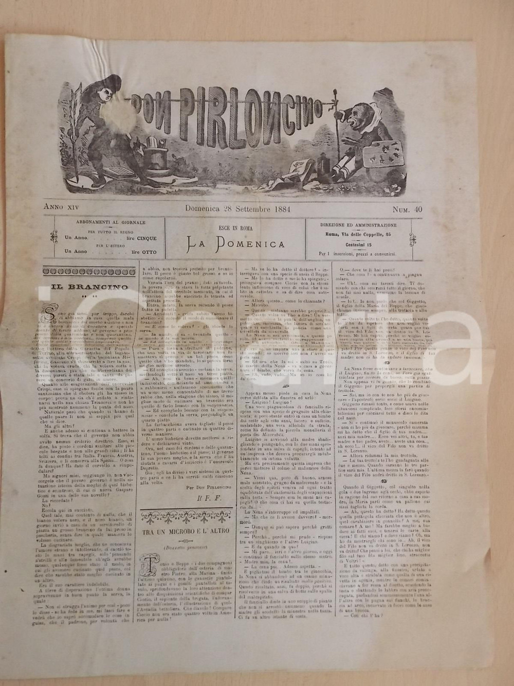 Giornale, rivista storica 1884 ROMA DON PIRLONCINO Tra un microbo e l altro Giornale anno XIV nÂ° 40 1