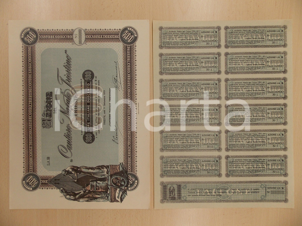 Oggetto da collezione cartaceo 1919 TRIESTE Cantiere Navale Triestino Certificato azionario con tagliandi 6 1
