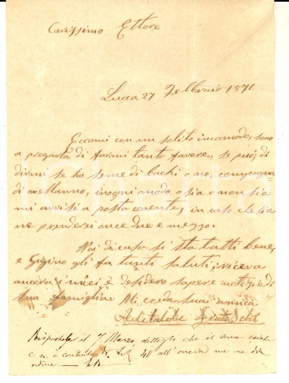Manoscritto, lettera originale 1871 LUCCA Adelaide FRATESCHI chiede seme bachi all ing. Ettore BARSANTI 1