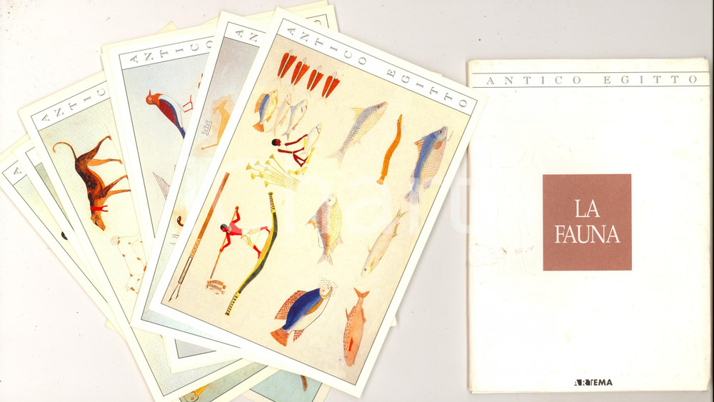 Libro, pubblicazione d epoca 1995 ca ANTICO EGITTO  La fauna 10 cartolina illustrate Edizioni ARTEMA 1