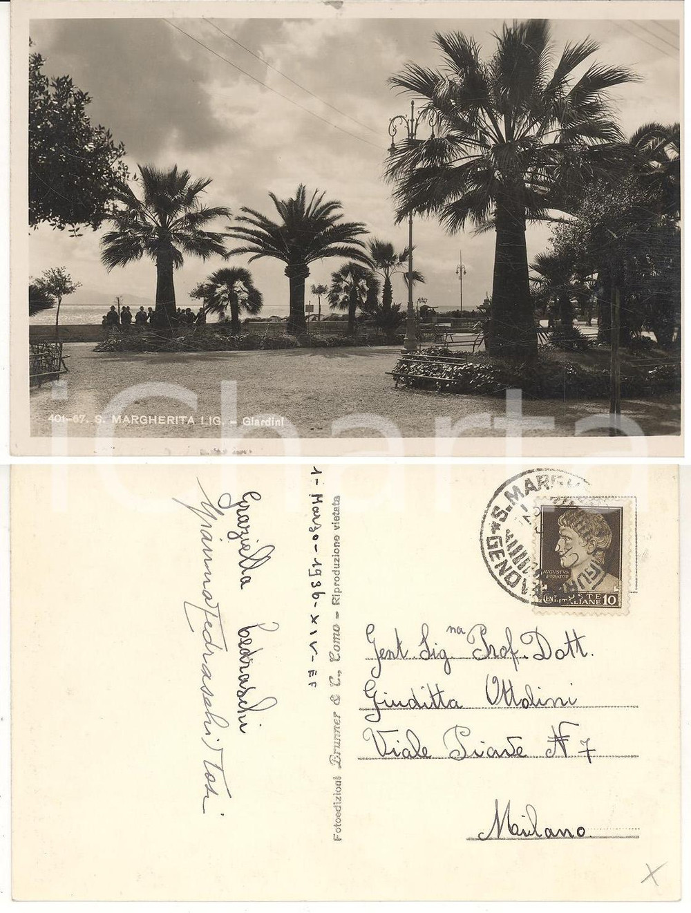 Cartolina originale da collezione 1936 SANTA MARGHERITA GE Veduta dei giardini Cartolina Gianna CEDRASCHITOSI 1