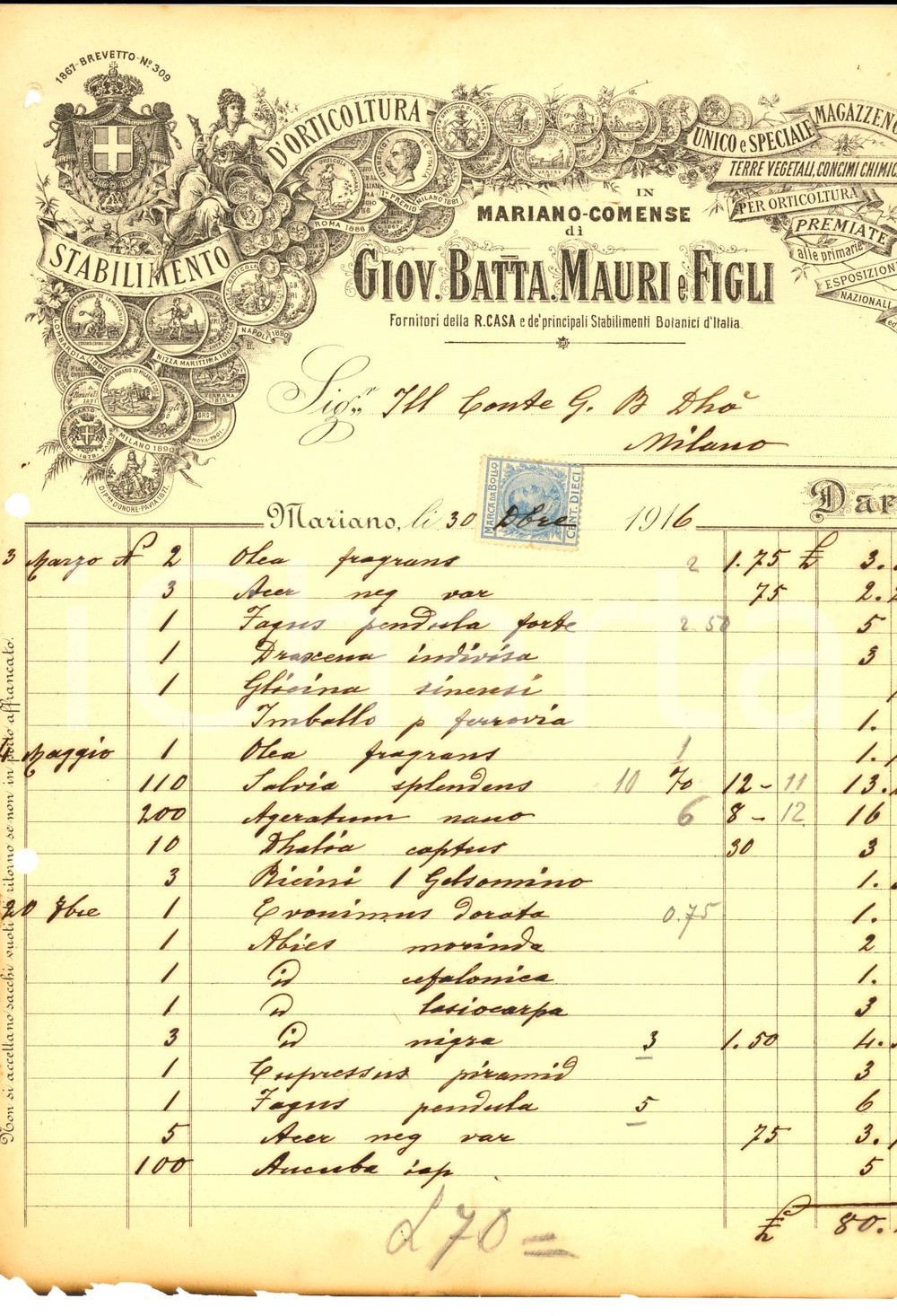 Documento originale, autentico 1916 MARIANO COMENSE Giovanni Battista MAURI & Figli botanici Real Casa Fattura 1