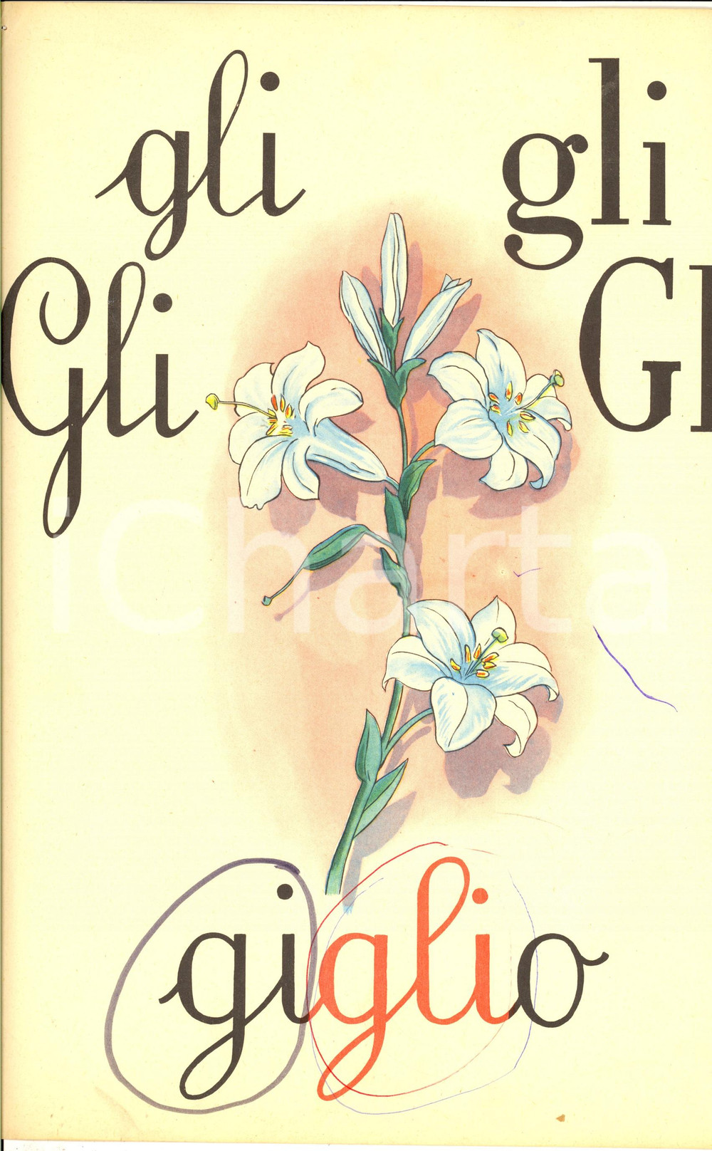 Stampa, bozzetto originale 1970 SCUOLE ELEMENTARI Alfabeto murale ILLUSTRATO GL Ed. FABBRI 22x35 1