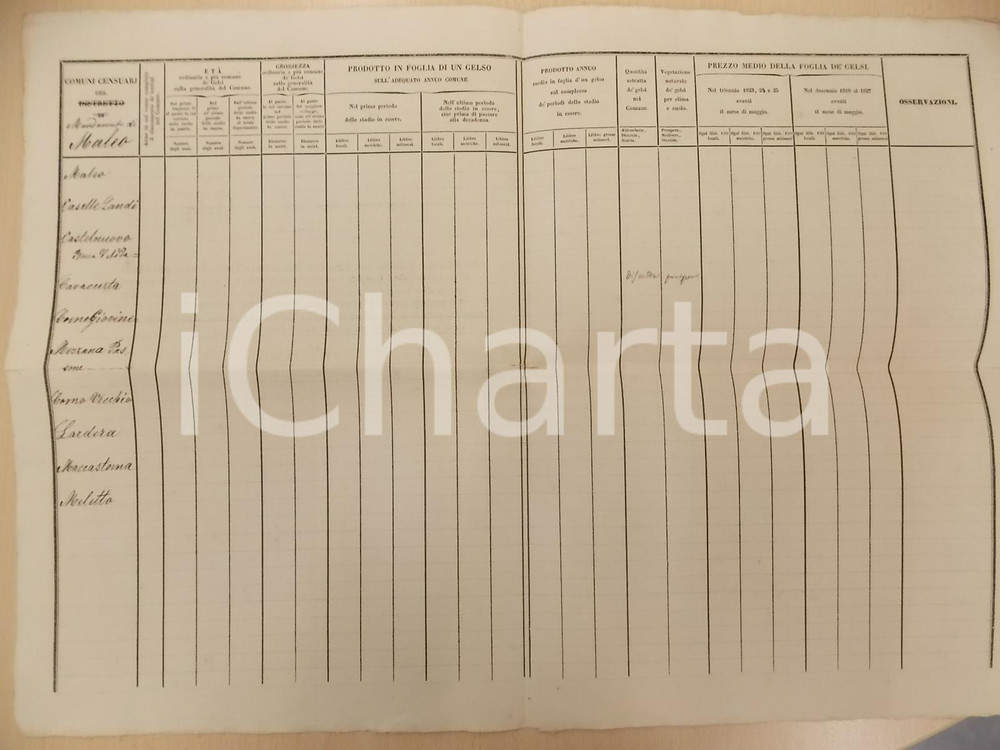 Documento originale, autentico 1825 ca MALEO LO Nozioni peritali sui gelsi Tabella non compilata 28x40 1