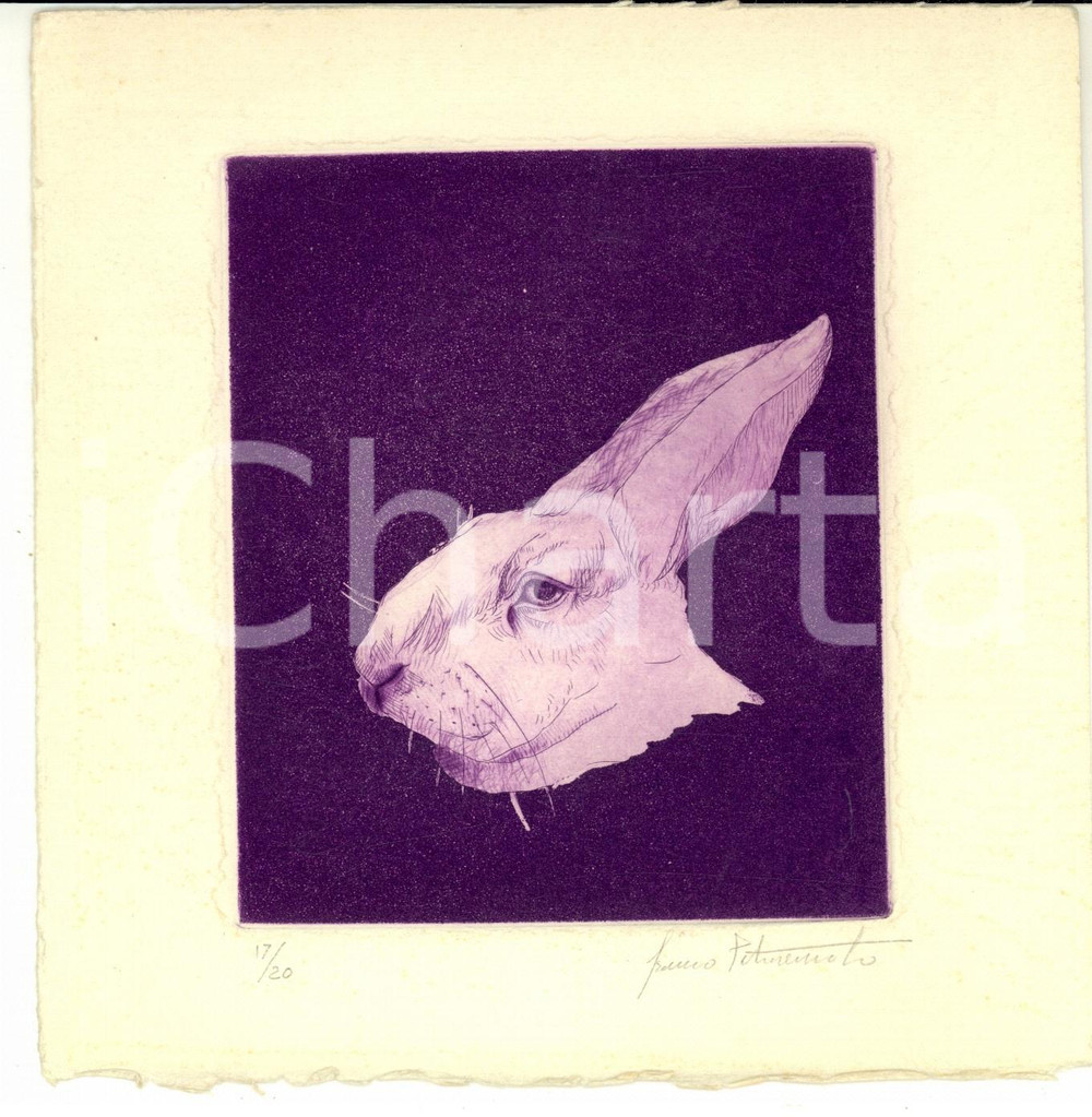 Opera d’arte autentica 1960 ca Franco PETROSEMOLO Testa di coniglio Litografia AUTOGRAFA 17/20 1