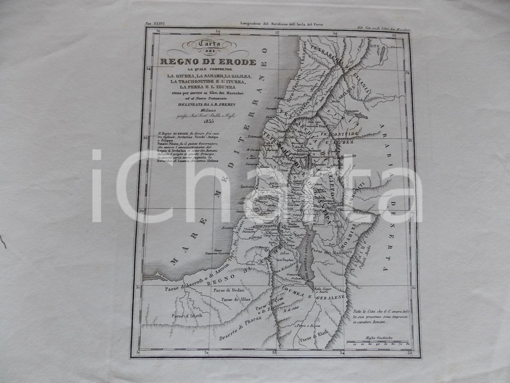 Stampa, bozzetto originale 1835 MILANO A. R. FREMIN Carta del Regno di ERODE Stampa 38x26 cm 1