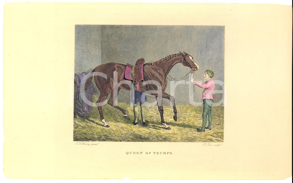 Stampa, bozzetto originale 1841 THE CRACKS OF THE DAY Queen of Trumps Stampa inc. PARR dis. HERRING 1