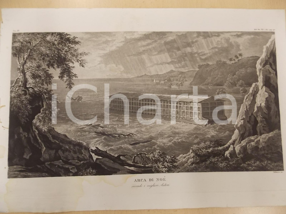 Stampa, bozzetto originale 1850 ca SACRA BIBBIA Arca di Noè secondo i migliori autori Stampa 38x26 Tav III 1