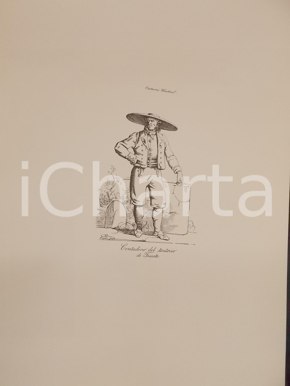 Stampa, bozzetto originale 1950 Eugenio BOSA COSTUMI TRIESTINI Contadino del territorio di Trieste Stampa 1
