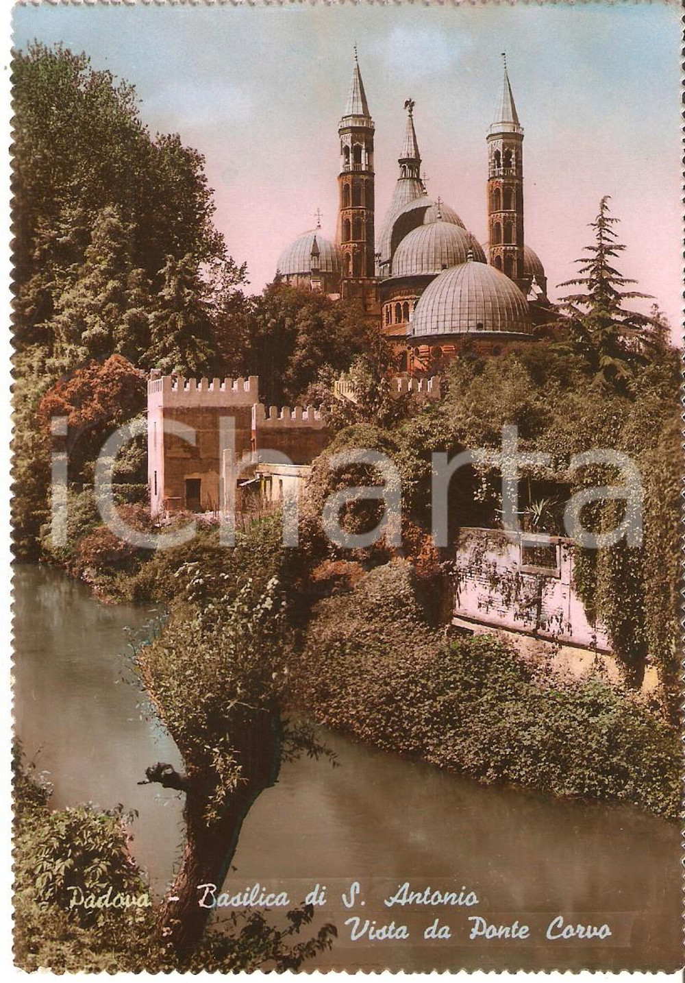 Cartolina originale da collezione 1951 PADOVA Basilica di Sant Antonio vista da PONTE CORVO Cartolina FG VG 1