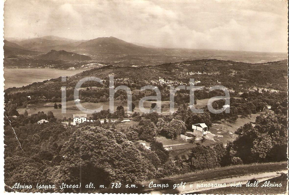 Cartolina originale da collezione 1960 ca STRESA VB Campo da golf visto dalla Frazione ALPINO Cartolina FG VG 1