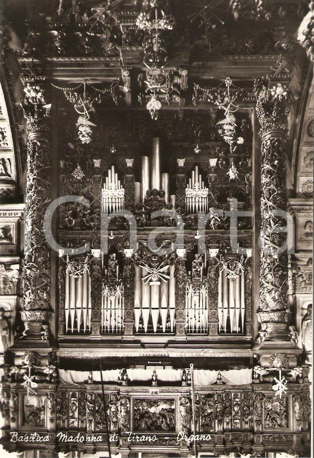 1955 ca TIRANO (SO) Organo della Basilica della Madonna *Cartolina FG NV