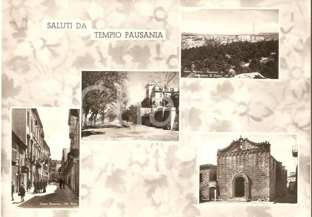 1950 ca TEMPIO PAUSANIA (OT) Vedutine con Via Roma e pineta *Cartolina FG NV