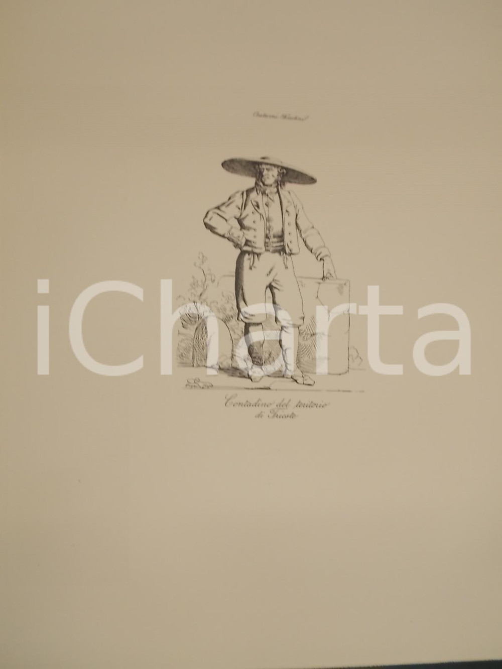 Stampa, bozzetto originale 1950 ca Eugenio BOSA COSTUMI TRIESTINI Contadino del territorio Stampa 1