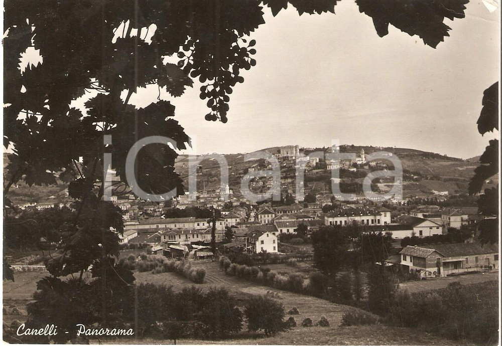 Cartolina originale da collezione 1953 CANELLI AT Panorama del paese Cartolina FG VG 1