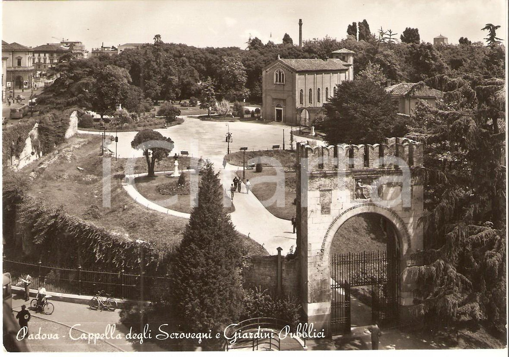 Cartolina originale da collezione 1953 PADOVA Giardini pubblici e Cappella degli SCROVEGNI Cartolina ANIMATA FG VG 1