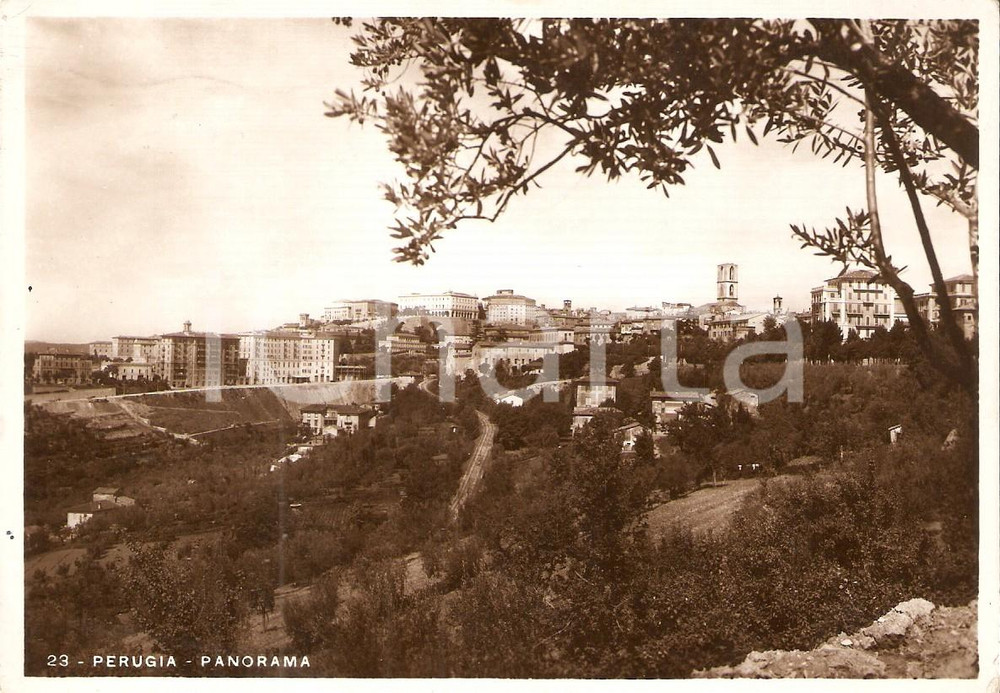 Cartolina originale da collezione 1955 ca PERUGIA Panorama della cittÃ  Cartolina FG VG 1
