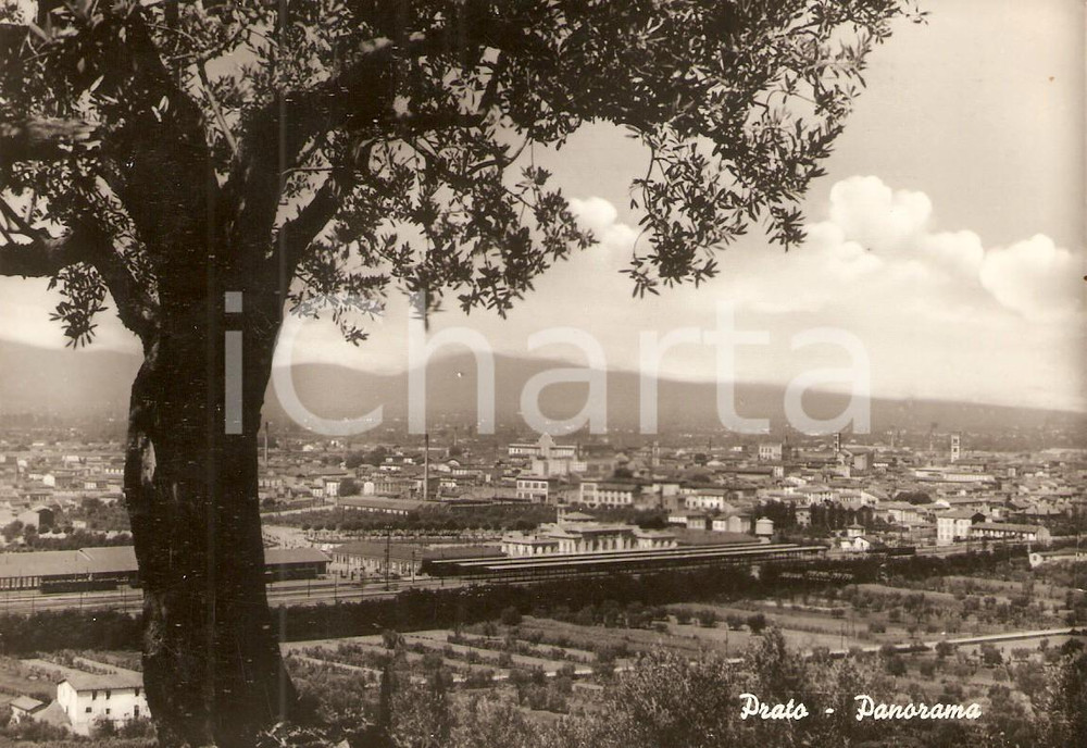 Cartolina originale da collezione 1960 PRATO Panorama della cittÃ  Cartolina FG VG 1