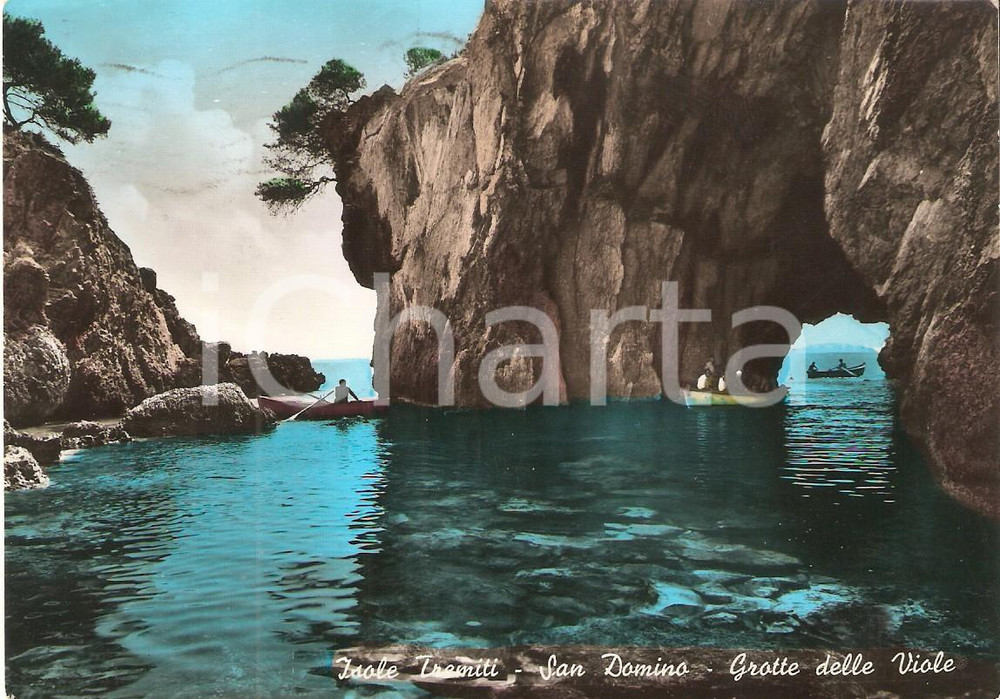 Cartolina originale da collezione 1955 ca ISOLE TREMITI FG San Domino e Grotta delle Viole Cartolina FG NV 1