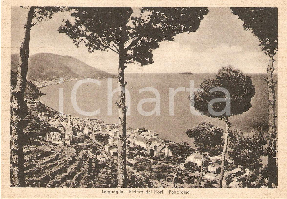 Cartolina originale da collezione 1950 ca LAIGUEGLIA SV Panorama con pini marittimi Cartolina FG NV 1