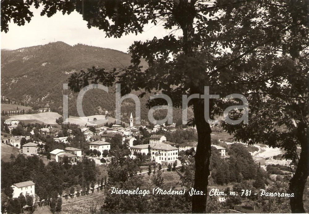 Cartolina originale da collezione 1950 ca PIEVELAGO MO Panorama del paese Cartolina FG VG 1
