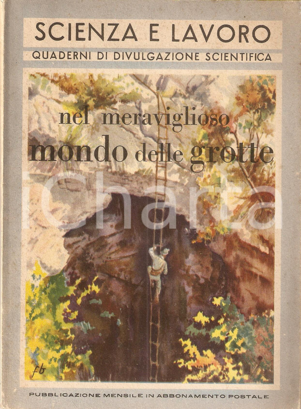 Libro, pubblicazione d epoca 1952 Gualtiero LAENG Nel meraviglioso mondo delle grotte SCIENZA E LAVORO 1