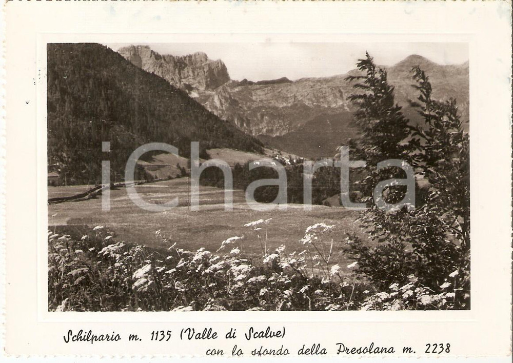 Cartolina originale da collezione 1951 SCHILPARIO BG Valle di Scalve con PRESOLANA Cartolina FG VG 1