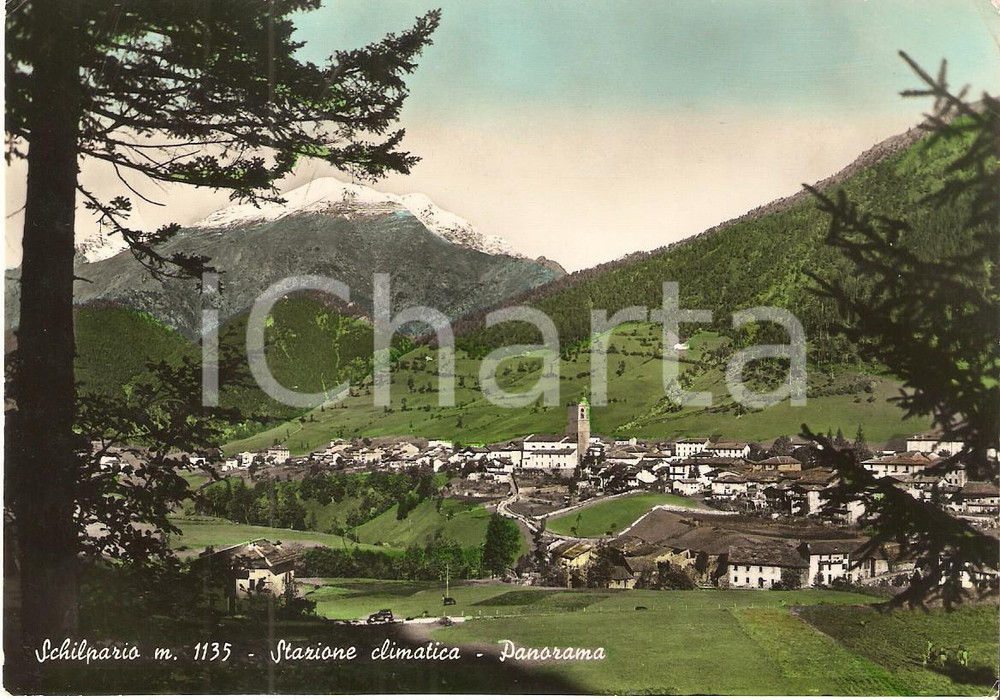 Cartolina originale da collezione 1958 SCHILPARIO BG Panorama del paese con campanile Cartolina FG VG 1