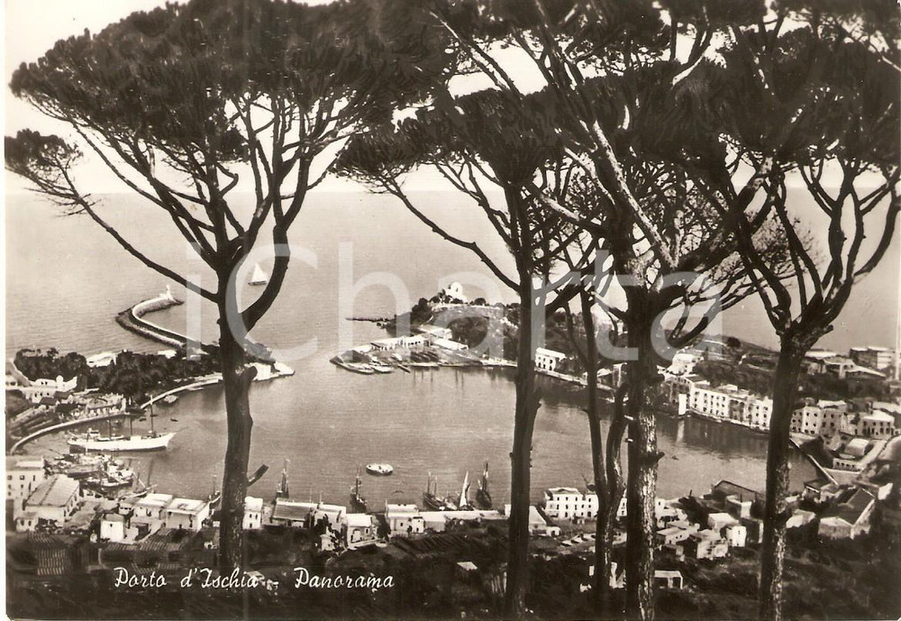 Cartolina originale da collezione 1960 ISCHIA PORTO NA Panorama dell isola della giovinezzaCartolina FG NV 1