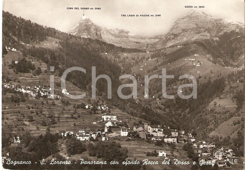 Cartolina originale da collezione 1955 ca BOGNANCO  SAN LORENZO VB Rocca del Dosso e Gezza Cartolina FG NV 1