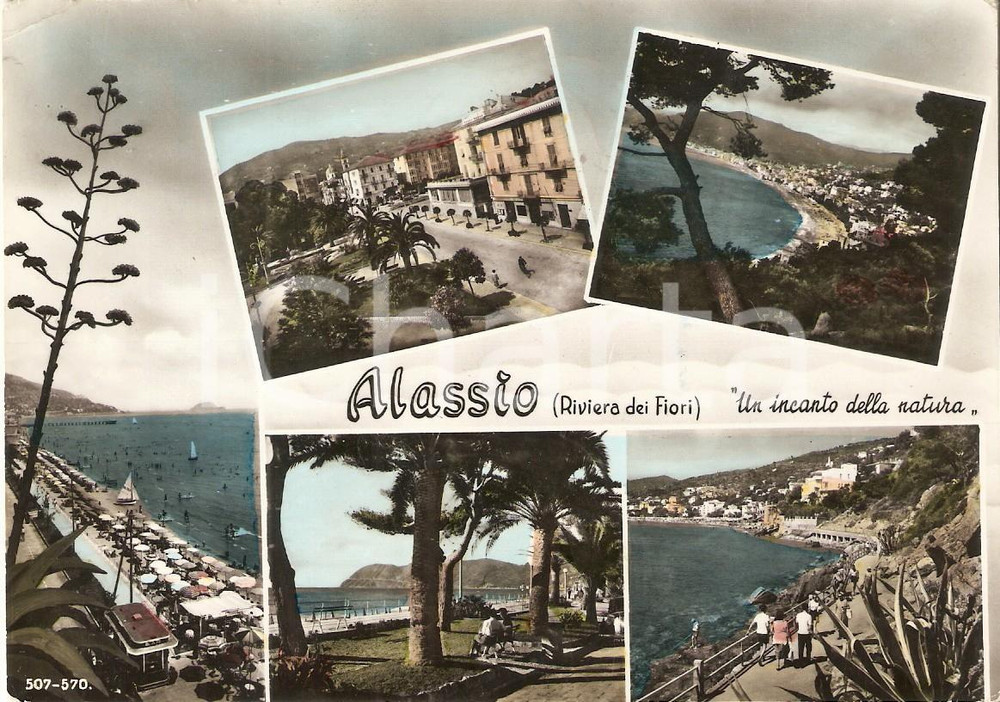 Cartolina originale da collezione 1960 ca ALASSIO SV Vedutine Riviera dei Fiori Cartolina FG NV 1