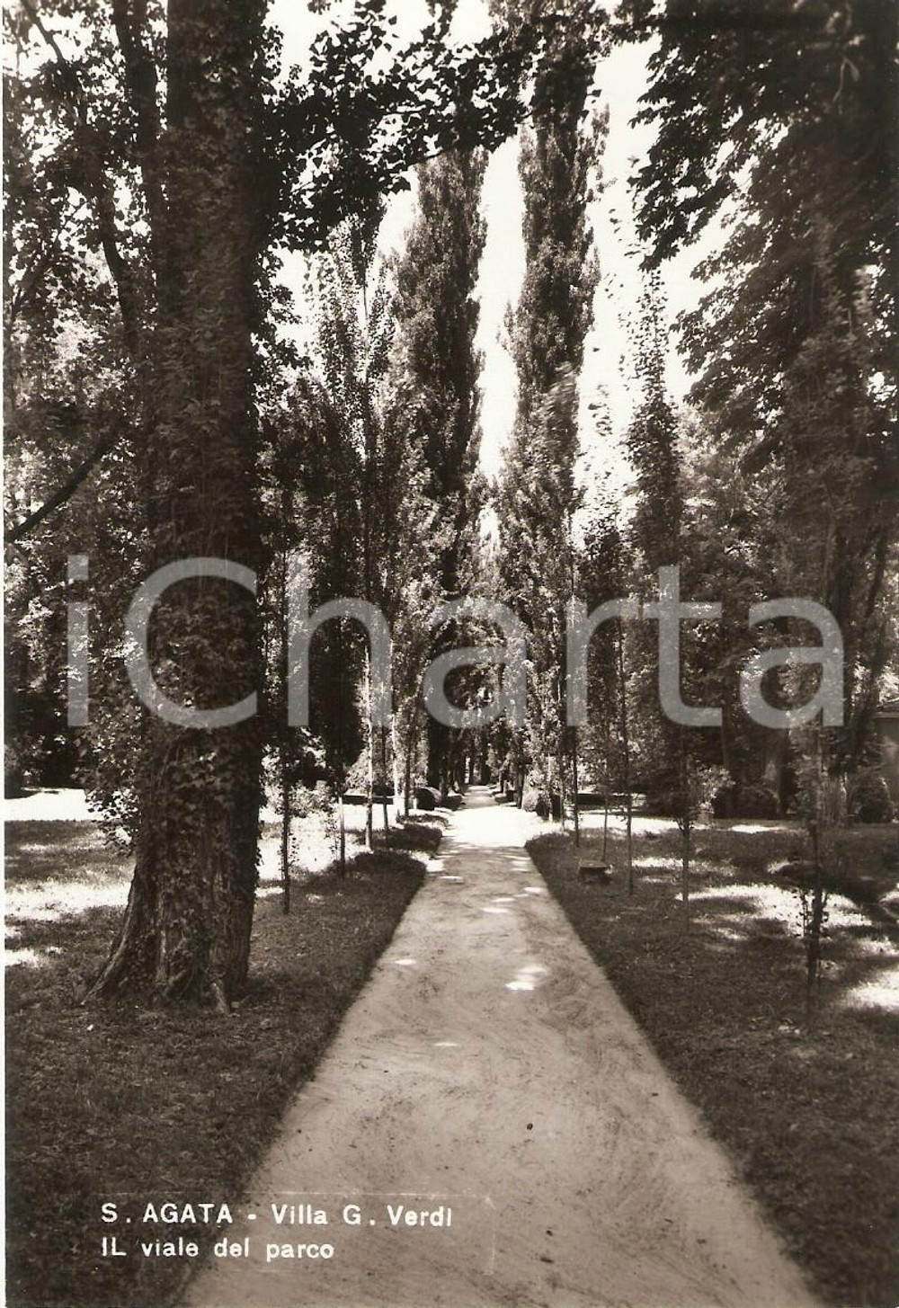 Cartolina originale da collezione 1965 SANT AGATA DI VILLANOVA SULL ARDA PC Parco di Villa VERDI Cartolina FG NV 1