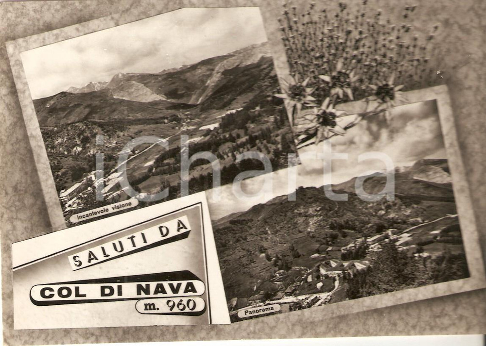 Cartolina originale da collezione 1953 PORNASSIO IM Vedutine COLLE DI NAVA Cartolina FG VG 1
