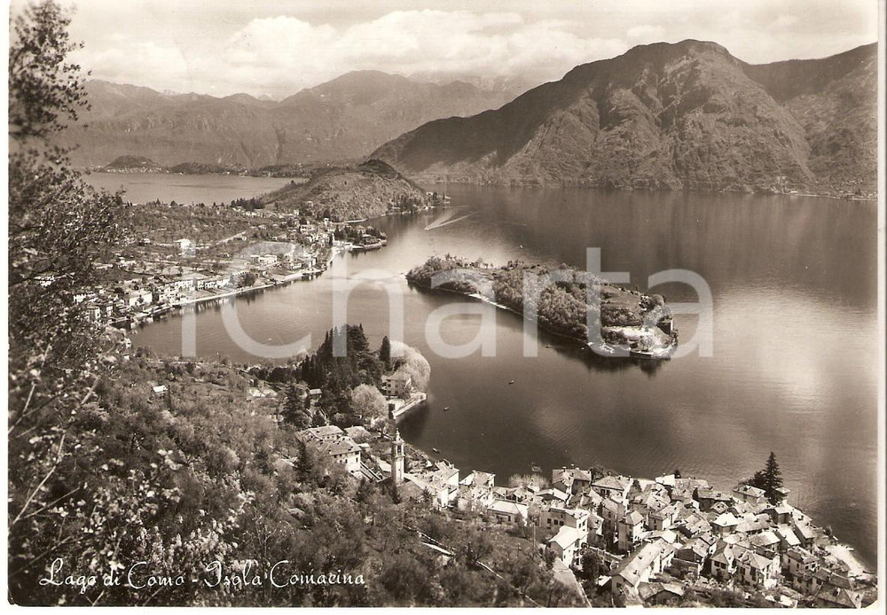 Cartolina originale da collezione 1958 TREMEZZINA CO Isola Comacina nel Lago di Como Cartolina FG VG 1