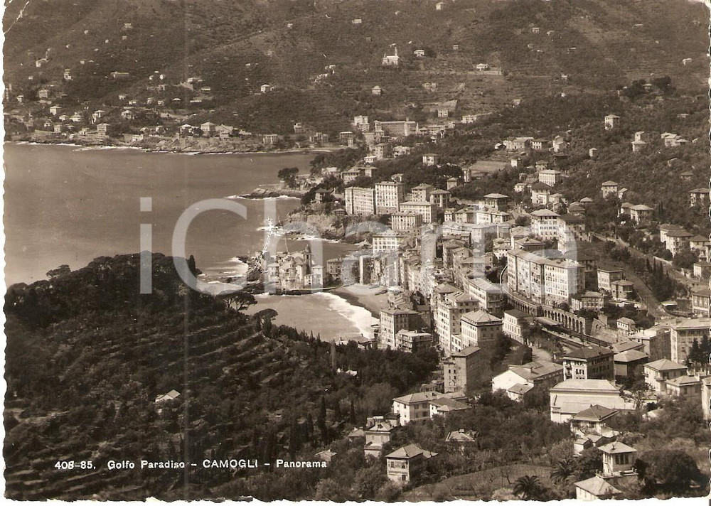 Cartolina originale da collezione 1955 ca CAMOGLI GE Panorama con Golfo Paradiso Cartolina FG VG 1