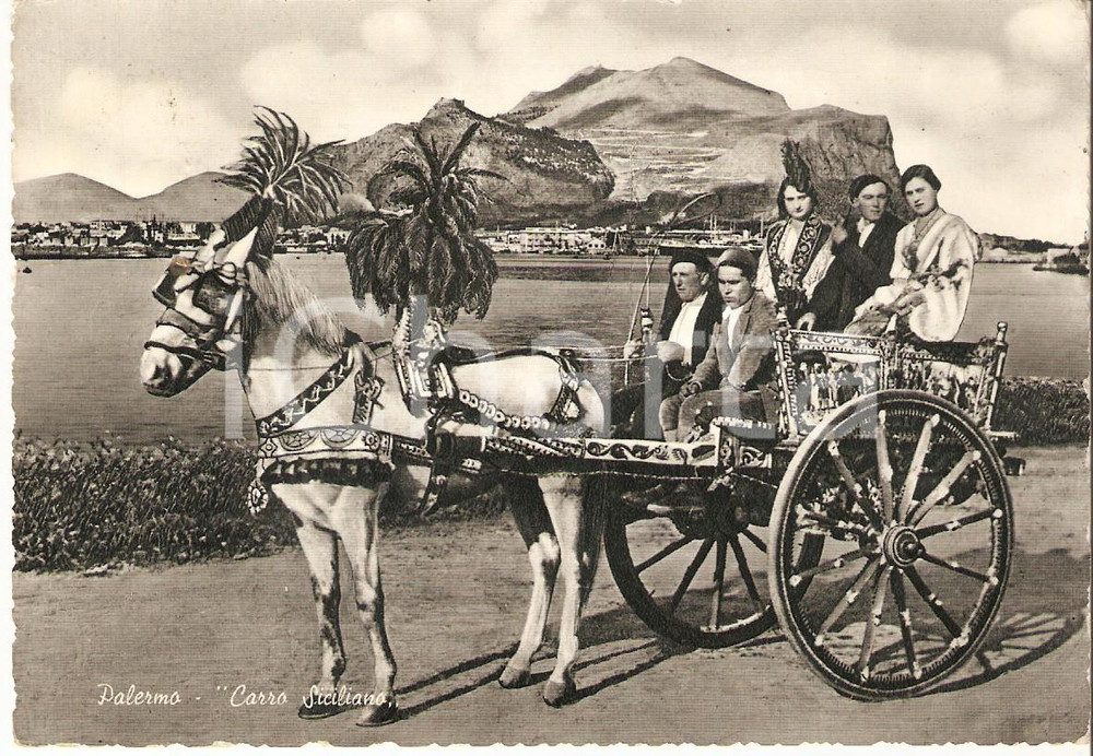 Cartolina originale da collezione 1962 PALERMO Panorama con Carretto siciliano Cartolina FG VG 1