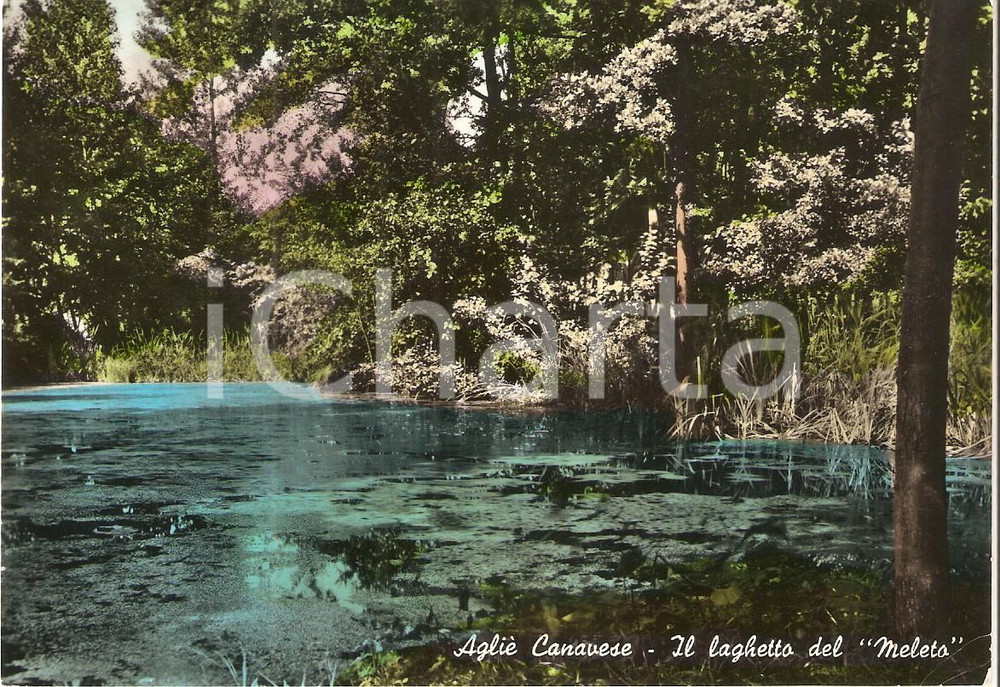 Cartolina originale da collezione 1959 AGLIE  CANAVESE TO Laghetto del Meleto Cartolina FG VG 1