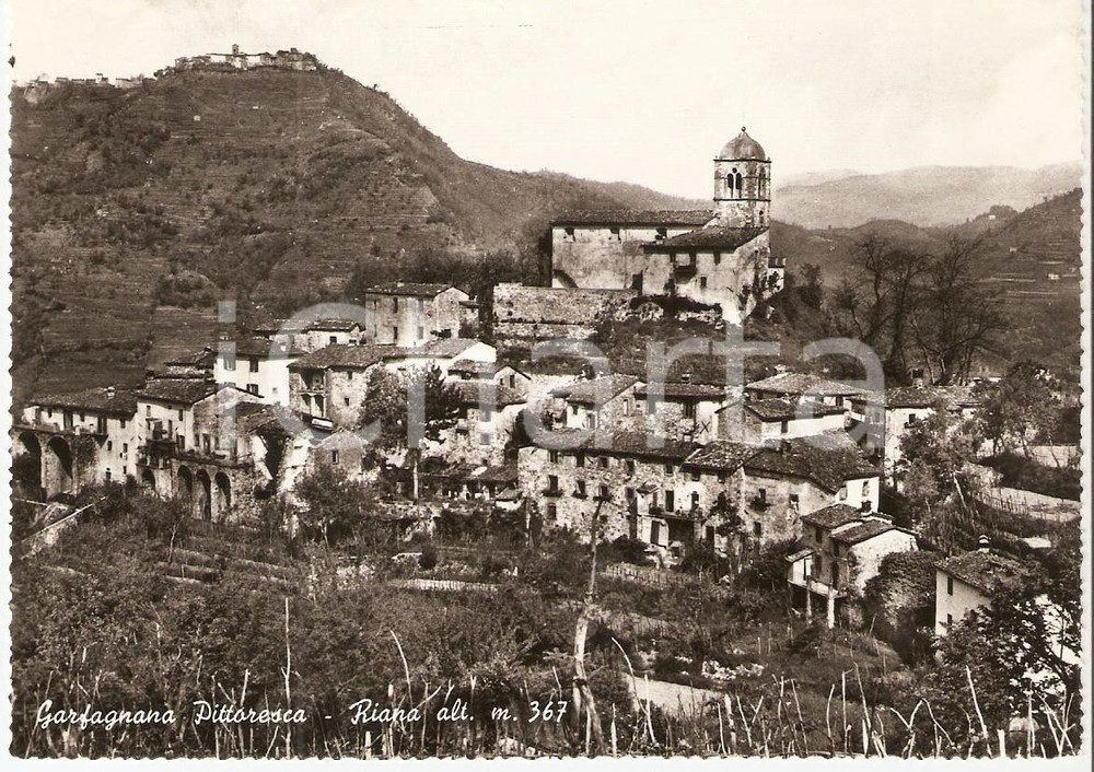 Cartolina originale da collezione 1960 ca RIANA LU Panorama del paese  GARFAGNANA Cartolina FG VG 1