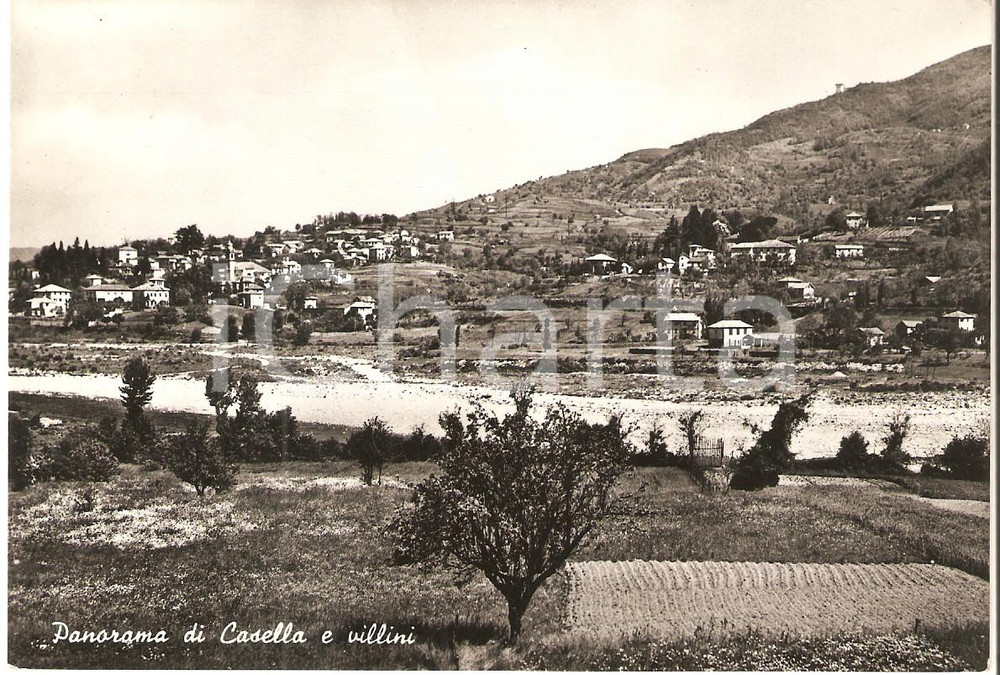 Cartolina originale da collezione 1955 CASELLA GE Panorama con villini Cartolina FG VG 1