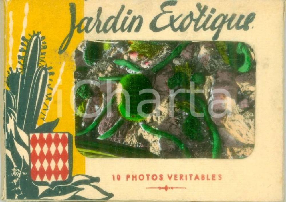 Fotografia d epoca originale 1960 ca PRINCIPAUTE  DE MONACO Jardin Exotique 10 photos vÃ©ritables Libretto 1