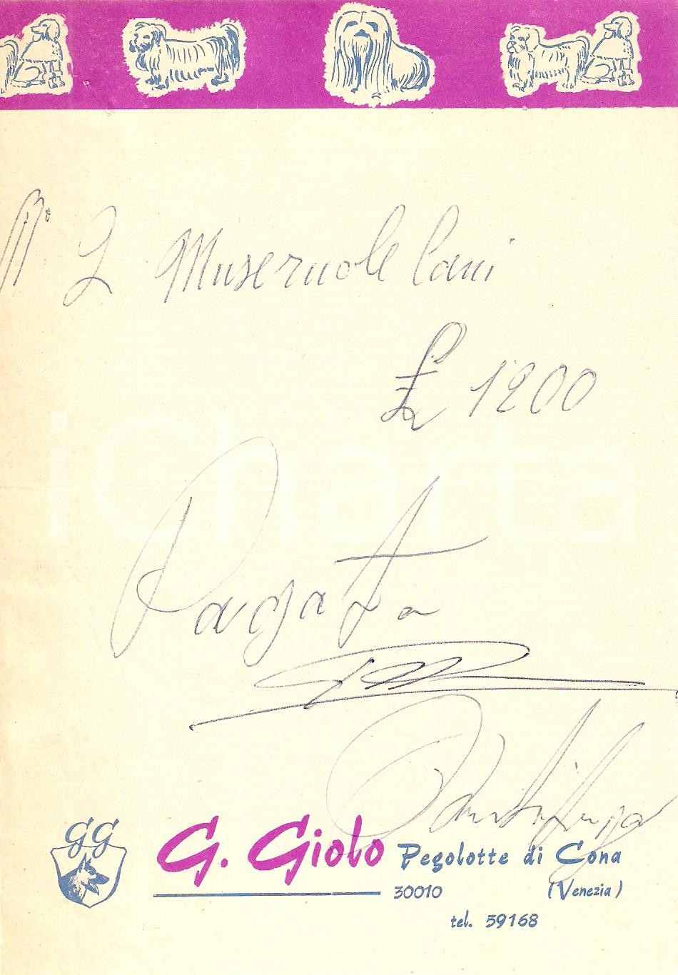 Materiale pubblicitario d’epoca 1965 ca PEGOLOTTE DI CONA VE Museruole per cani GIOLO Ricevuta 12x17 cm 1