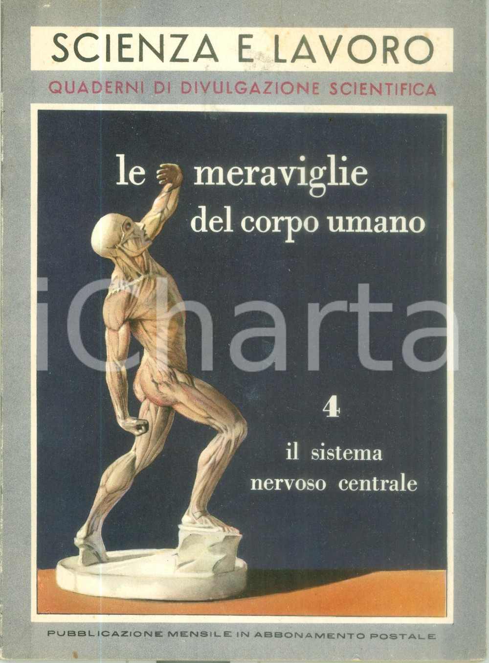 Libro, pubblicazione d epoca 1956 Giovanni PEREZ Meraviglie corpo umano Sistema nervoso centrale ILLUSTRATO 1