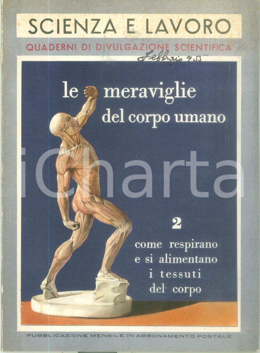 Libro, pubblicazione d epoca 1955 Giovanni PEREZ Meraviglie corpo umano II I tessuti del corpo ILLUSTRATO 1