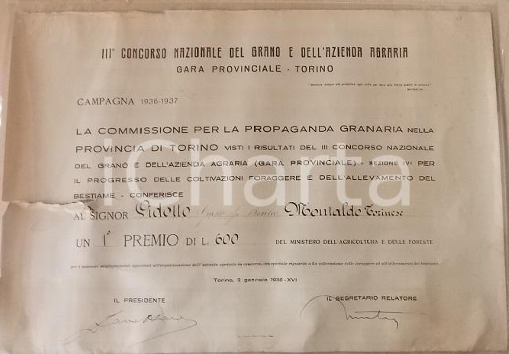 Documento originale, autentico 1938 TORINO Concorso nazionale grano Diploma Giusto VIDOTTO DANNEGGIATO 1