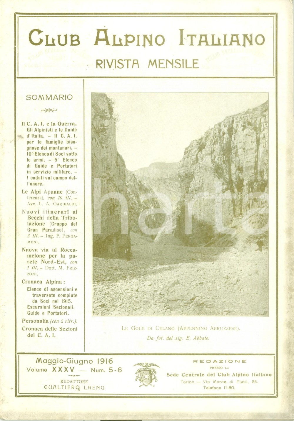 Giornale, rivista storica 1916 WW1 RIVISTA CLUB ALPINO ITALIANO Le Alpi Apuane Rivista XXXV n. 56 1