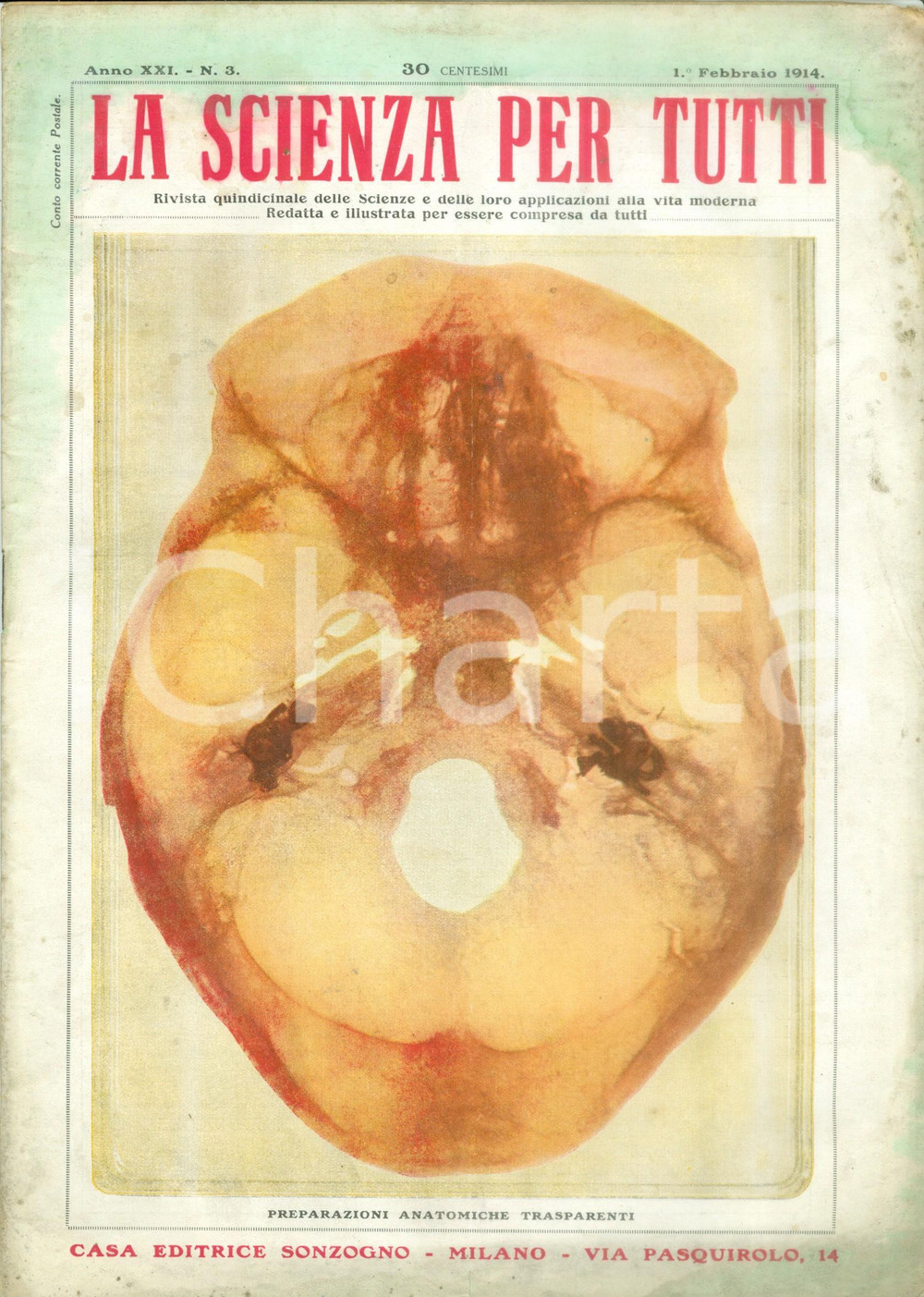 Giornale, rivista storica 1915 WW1 SCIENZA PER TUTTI Conservazione prodotti alimentari Rivista ILLUSTRATA 1