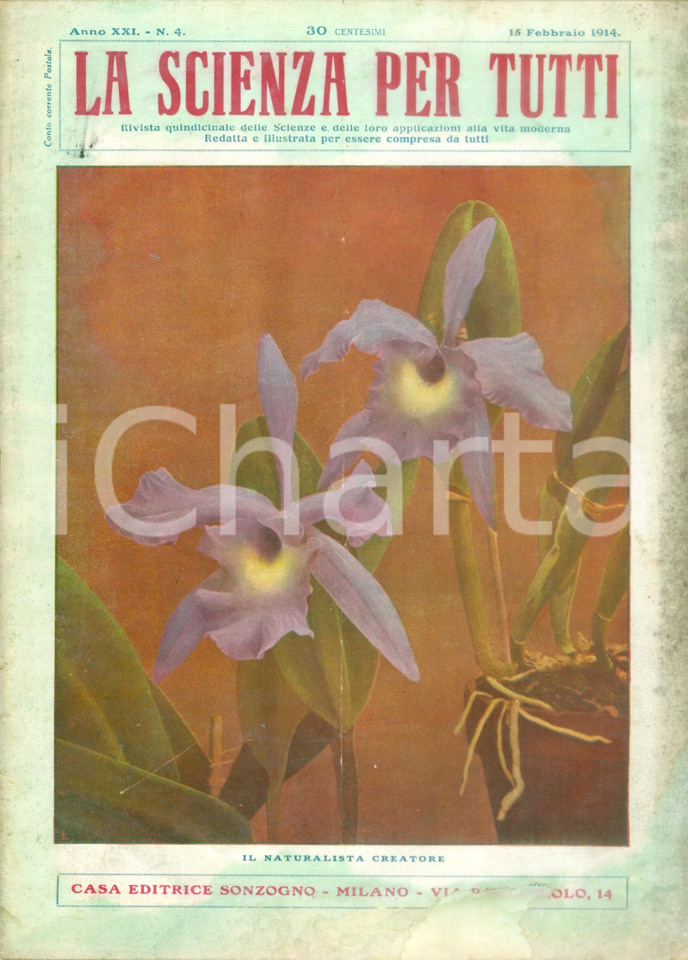 Giornale, rivista storica 1915 WW1 LA SCIENZA PER TUTTI Quante stelle nella VIA LATTEA Rivista ILLUSTRATA 1