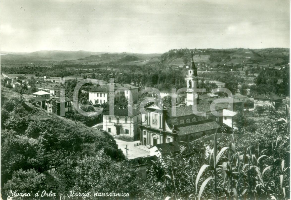 Cartolina originale da collezione 1965 ca SILVANO D ORBA AL Scorcio panoramico Cartolina FG VG 1